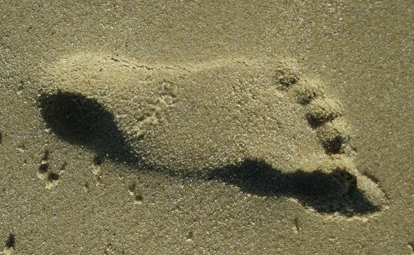 EbbSpark Footprint image
