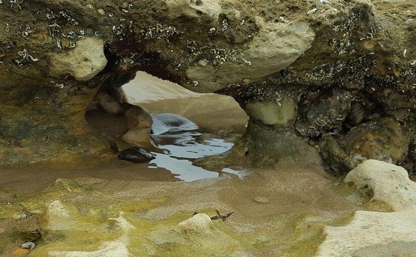 Water running under a bridge of rock