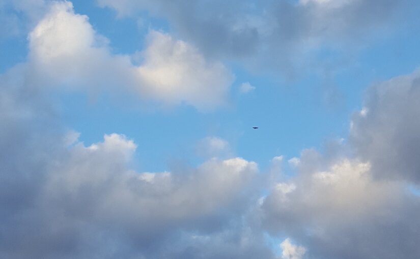 Eagle between clouds in the sky