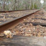 Railway line disappearing into a forest